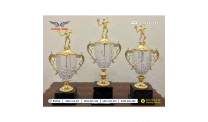 Cup quả cầu pha lê - tennis