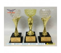 Cup pha lê đế gỗ - 01