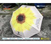 DÙ CÂM TAY GẤP 3 - DÙ COUPLE TX