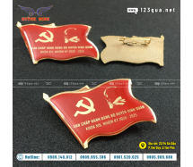 HUY HIỆU ĐẢNG BỘ HUYỆN ĐỊNH QUÁN - HUY HIỆU ĐẠI HỘI 05